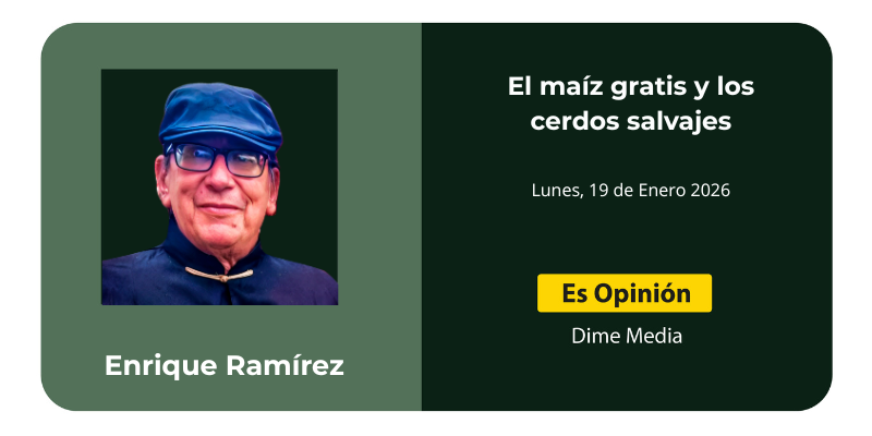 El maíz gratis y los cerdos salvajes