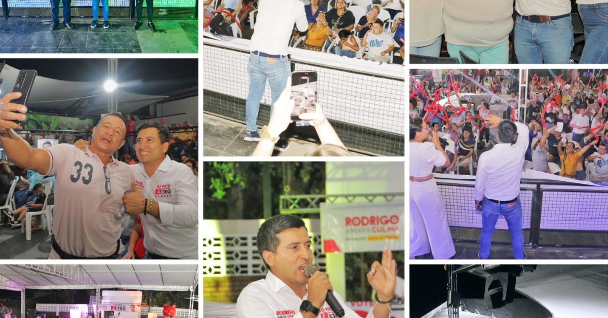 Hoy revelamos la imagen oficial del FICCI 65