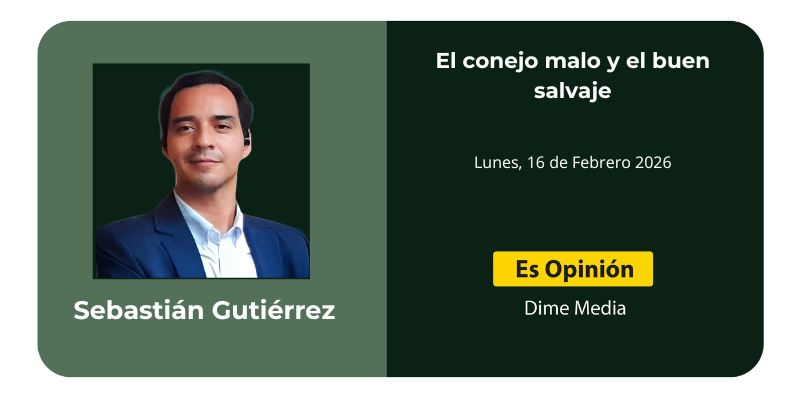 El conejo malo y el buen salvaje