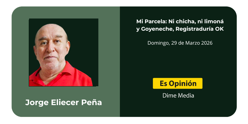 Mi parcela: Ni chicha, ni limoná y Goyeneche, Registraduría OK