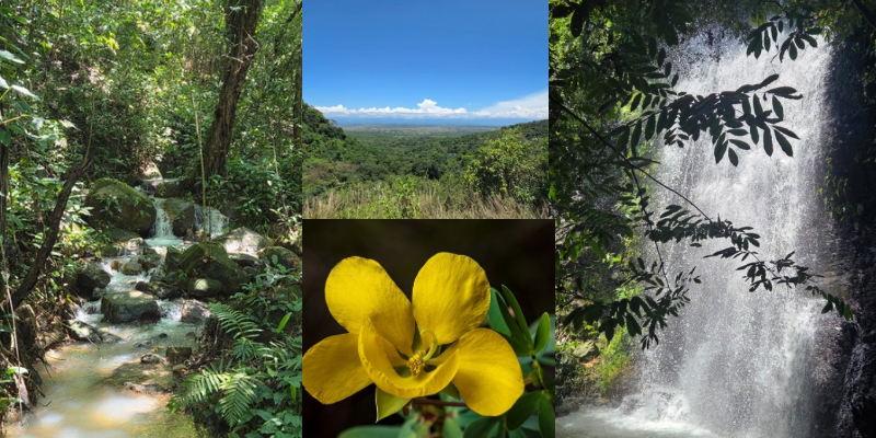 Ecopetrol e ISA Energía sellan acuerdo para conservar el bosque seco tropical en el Huila