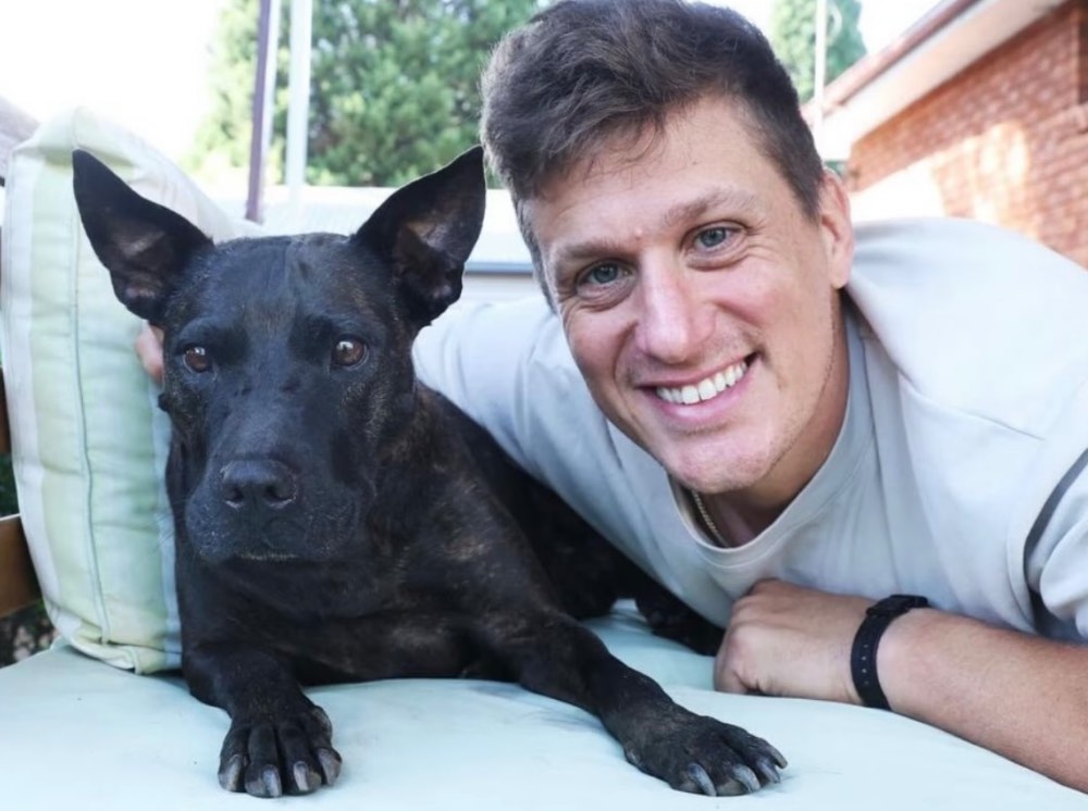 ¡Impresionante! Hombre usó ChatGPT y análisis genético para crear vacuna que redujo tumor de su perrita