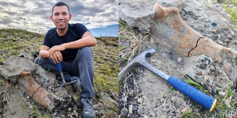 Hallazgo en la Tatacoa revela fósil clave de un gigante prehistórico