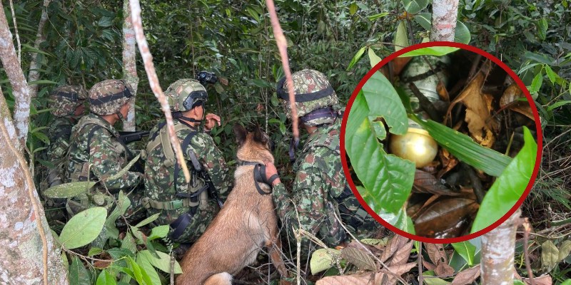 Ejército Nacional desactiva dos granadas de 40 mm en zona rural de La Plata, Huila