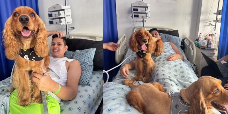 Un encuentro con sus mascotas llenó de ánimo a paciente hospitalizado en Neiva