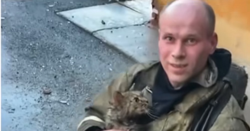 Bombero salva a gato al borde de la muerte y conmueve en redes