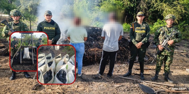 dos capturados por presunta tala y producción ilegal de carbón en Aipe