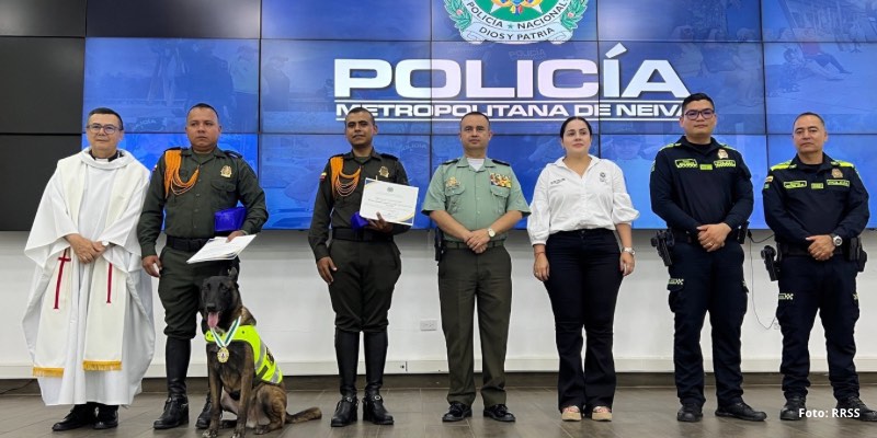 Canino antinarcóticos Odhil de la Policía de Neiva suma seis capturas y más de 159 kilos de droga incautados en 2026