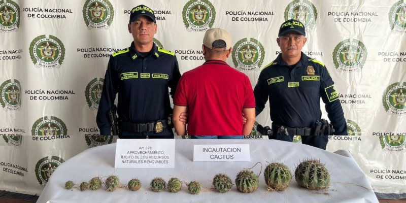 Capturado en Villavieja por extracción ilegal de cactus