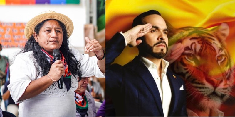 Aída Quilcué pidió a Abelardo de la Espriella dejar de usar el tigre como símbolo de campaña