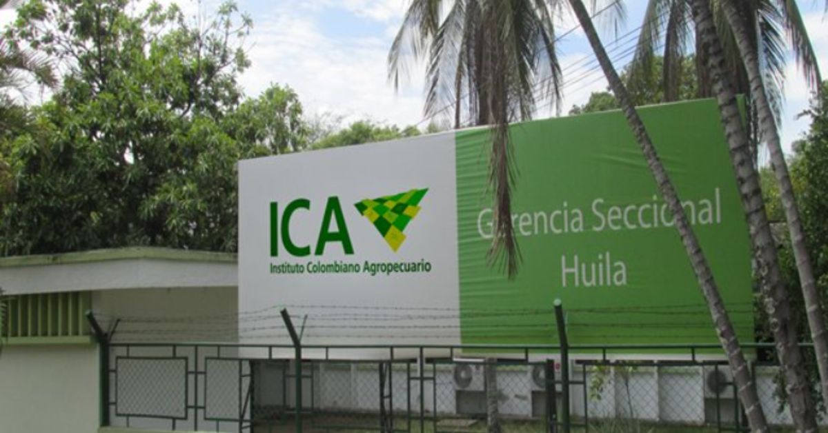 El ICA cambia de estructura en Neiva: ¿qué pasará con los contribuyentes?