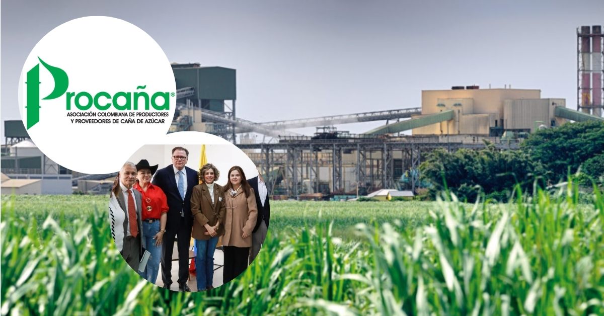 MinAgricultura destina $400.000 millones en créditos a Procaña, el gremio que agrupa a los grandes productores de caña del Valle del Cauca