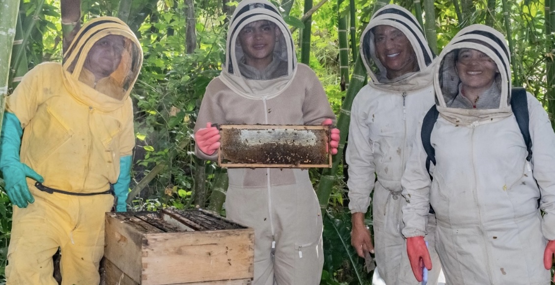 Apicultura: La dulce herencia que garantiza el futuro del campo huilense