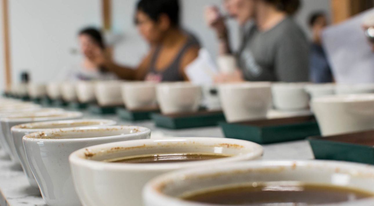 Pitalito abre sus puertas al mundo con Expocafé 2026