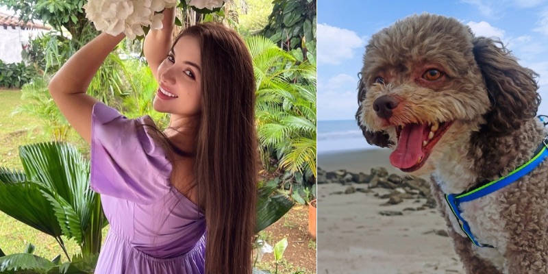 Salvó a su perro con su propia vida tras el terremoto