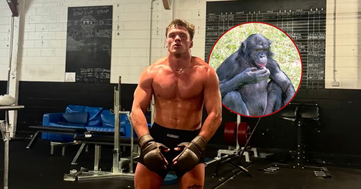Cole “Wavy” Johnson insiste en enfrentarse a un chimpancé en una pelea programada para este 11 de septiembre